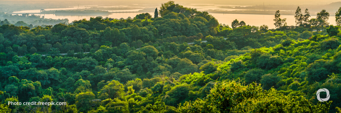 World Bank and Fiji sign agreement to reduce forest emissions and boost climate resilience World Bank and Fiji sign agreement to reduce forest emissions and boost climate resilience