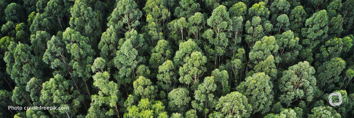 Protecting forests in Turkey: climate change adaptation and biodiversity protection Protecting forests in Turkey: climate change adaptation and biodiversity protection