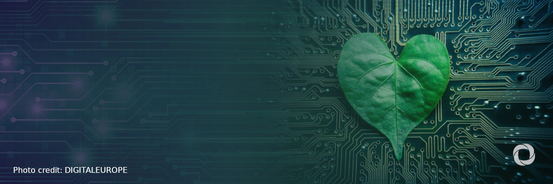 Associate Writer | Impact of twin digital and green transition on achieving SDGs