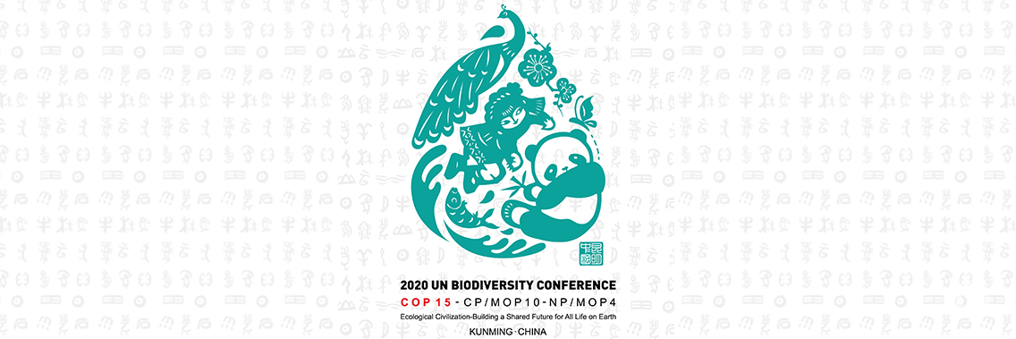 2021 UN Biodiversity Conference (COP 15)