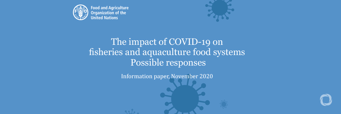 Global fisheries and aquaculture hard hit by COVID-19 pandemic, says FAO report Global fisheries and aquaculture hard hit by COVID-19 pandemic, says FAO report