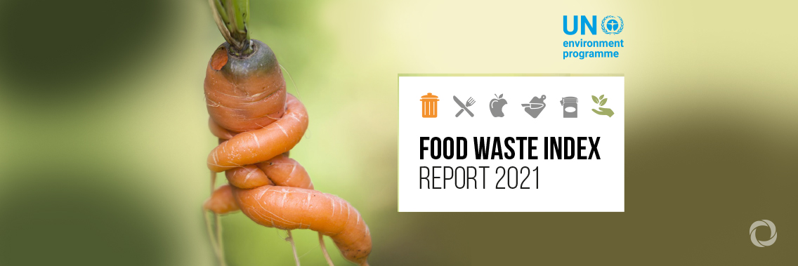 UN: 17% of all food available at consumer levels is wasted