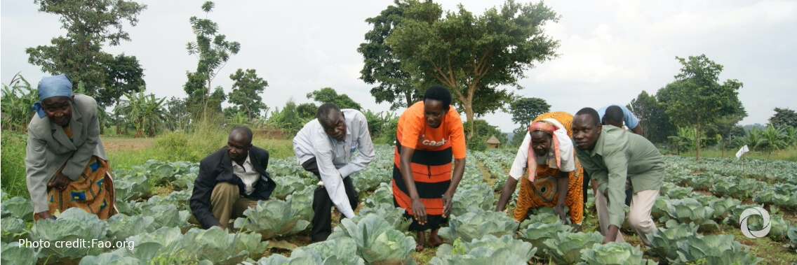 Strengthening food systems must be at the centre of Africa’s COVID-19 recovery Strengthening food systems must be at the centre of Africa’s COVID-19 recovery