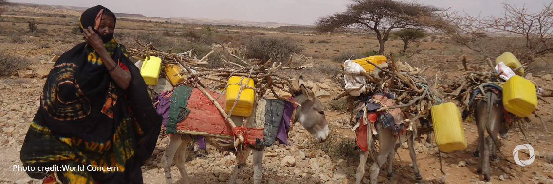 Poor seasonal rains threatening ‘foundations’ of tens of thousands of Somali livelihoods Poor seasonal rains threatening ‘foundations’ of tens of thousands of Somali livelihoods