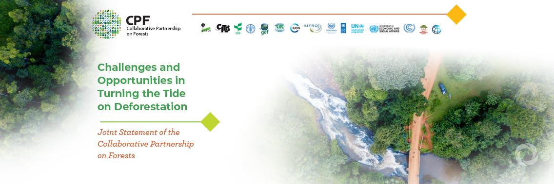 Collaborative Partnership on Forests calls for halt to deforestation