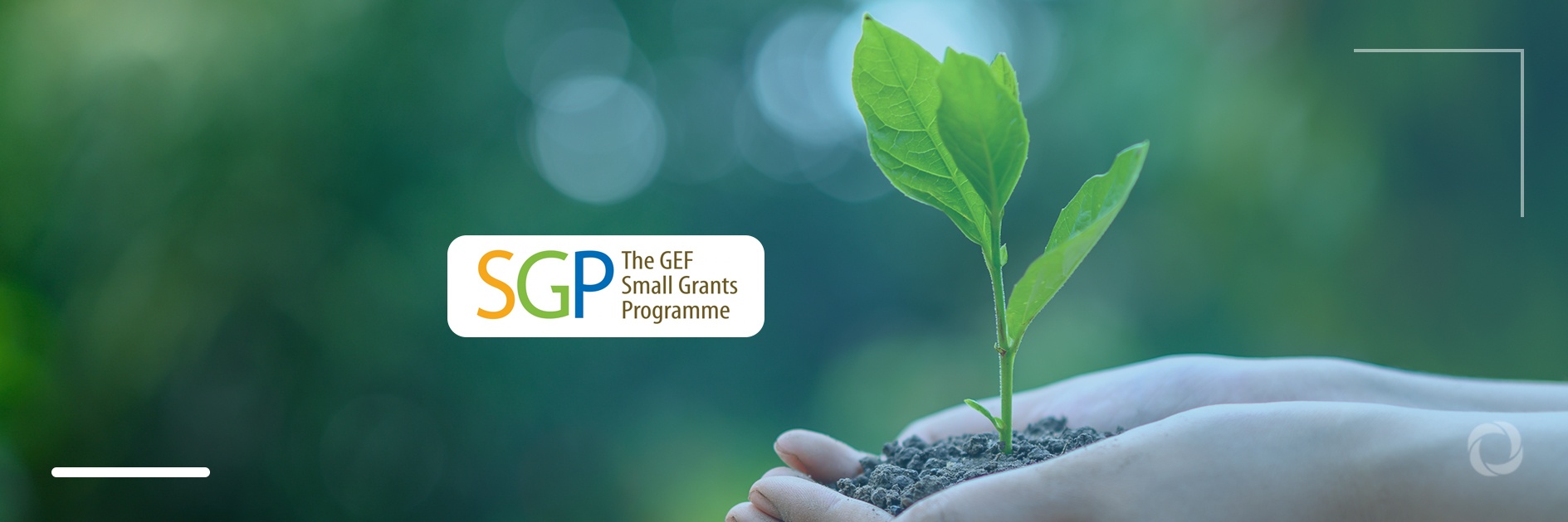 GEF Small Grants Programme offers millions of dollars to address environmental issues