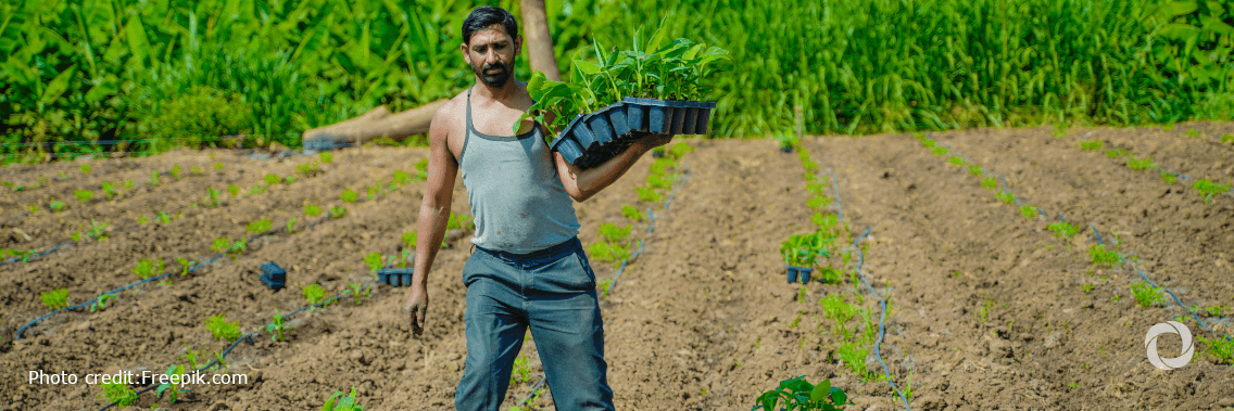 Small family farmers produce a third of the world’s food