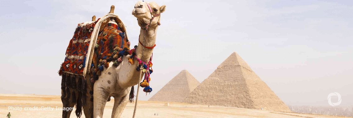 UNWTO and Google partner to guide restart of African tourism