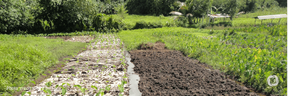 USAID assists the Federated States of Micronesia and Palau to secure $10.4 million for climate change adaptation USAID assists the Federated States of Micronesia and Palau to secure $10.4 million for climate change adaptation