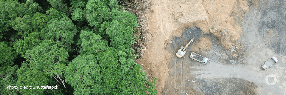 WWF marks 60 years of conservation impact and calls for urgent action for people and nature