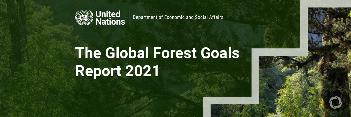 World’s forests under threat from economic and environmental crises World’s forests under threat from economic and environmental crises