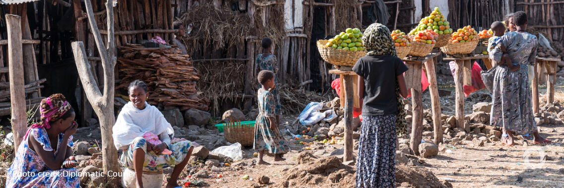 UN calls for urgent action to feed the world’s growing population healthily, equitably and sustainably UN calls for urgent action to feed the world’s growing population healthily, equitably and sustainably