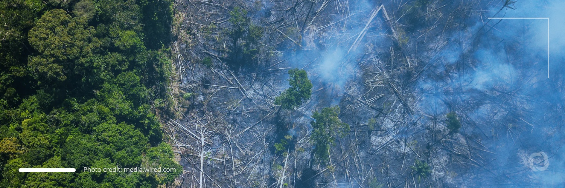 Deforestation of Brazilian Amazon rainforest hits record high