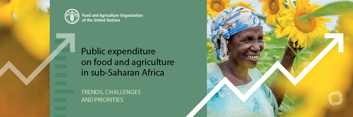 FAO Director-General urges measures to tackle agricultural underfunding