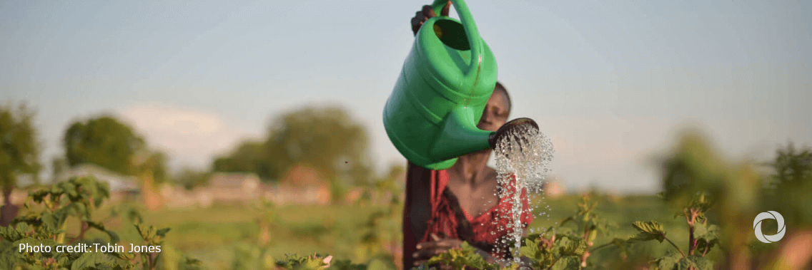 South Sudan small-scale producers receive support from IFAD to safeguard their livelihoods in the face of the COVID-19 crisis South Sudan small-scale producers receive support from IFAD to safeguard their livelihoods in the face of the COVID-19 crisis