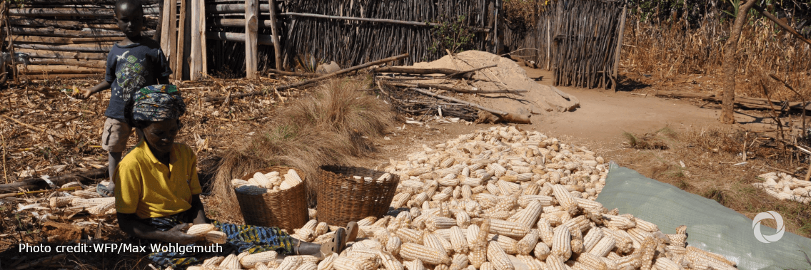 Tanzania and IFAD partner to boost productivity, improve food security and build resilience of small-scale farmers in the face of the climate change