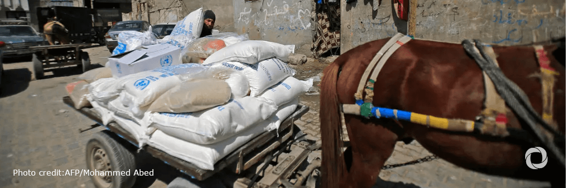 WFP provides immediate support to families caught up in Gaza emergency WFP provides immediate support to families caught up in Gaza emergency