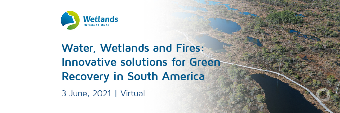 Water, Wetlands and Fires: Innovative Solutions for Green Recovery in South America | Virtual