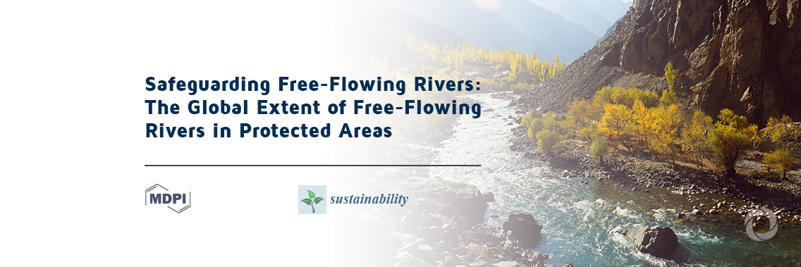 Only 17% of free-flowing rivers are protected