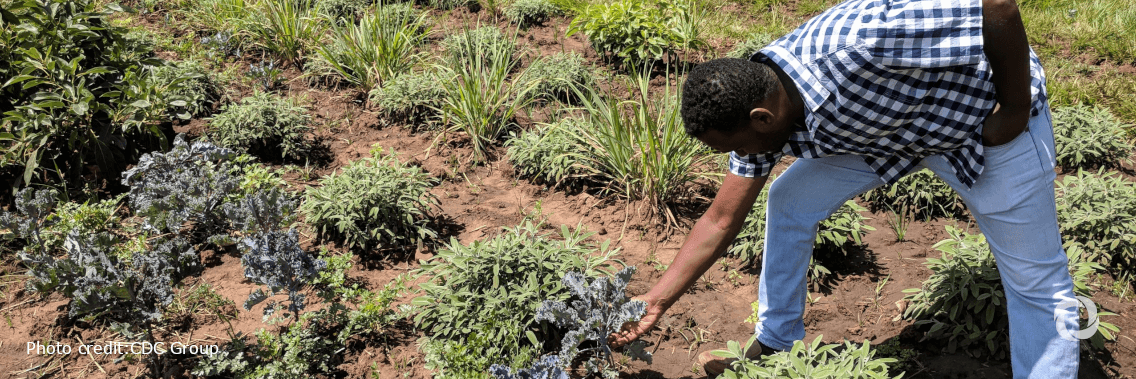 CDC Group commits $100 million to ETG, supporting the lives of farmers across Africa and Asia CDC Group commits $100 million to ETG, supporting the lives of farmers across Africa and Asia