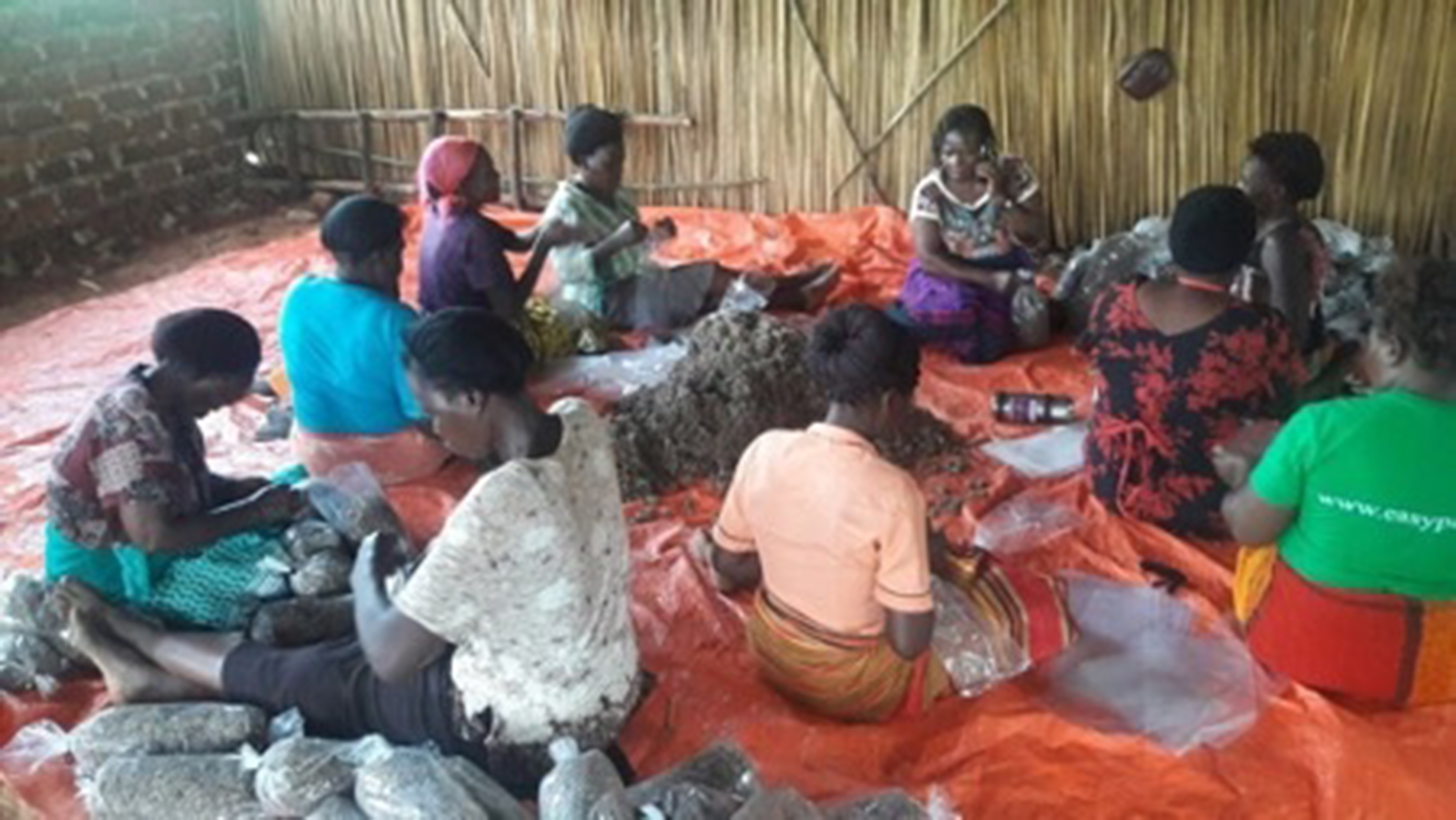 Cooperative members making mushroom gardens
