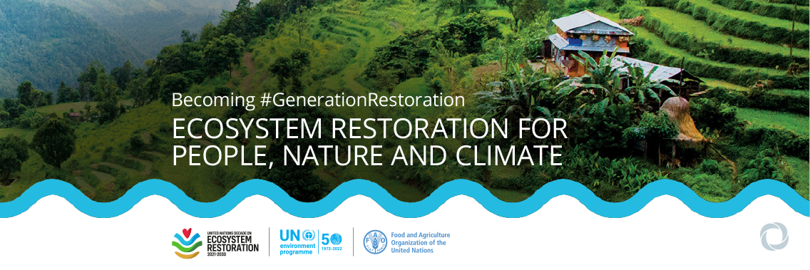 UN calls on countries to meet commitments to restore one billion hectares of land UN calls on countries to meet commitments to restore one billion hectares of land