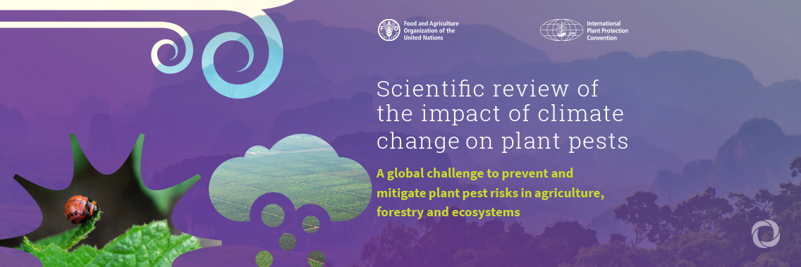 Pests destroy up to 40 percent of global crops and cost $220 billion of losses