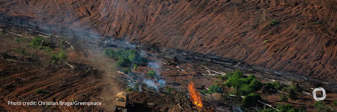 Ambitious $104 million program targets land degradation in Africa and Central Asian countries Ambitious $104 million program targets land degradation in Africa and Central Asian countries