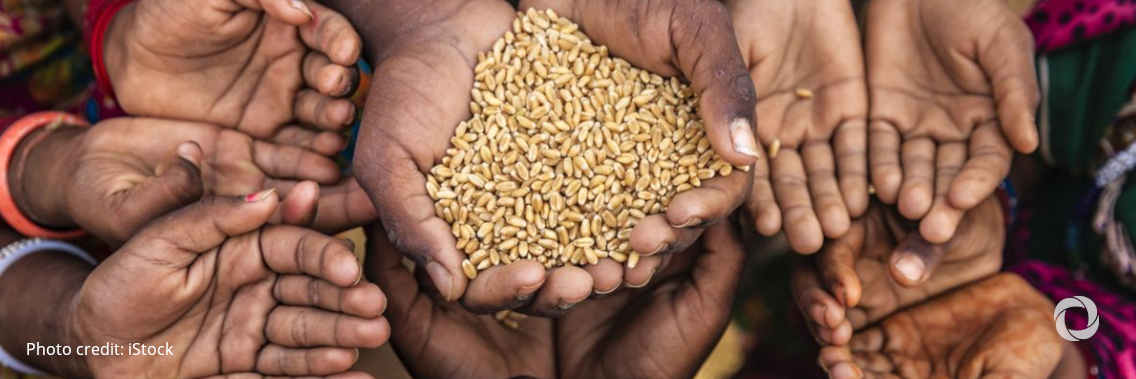 FAO Director-General urges G20: invest in rural areas and step up actions to eradicate hunger and poverty