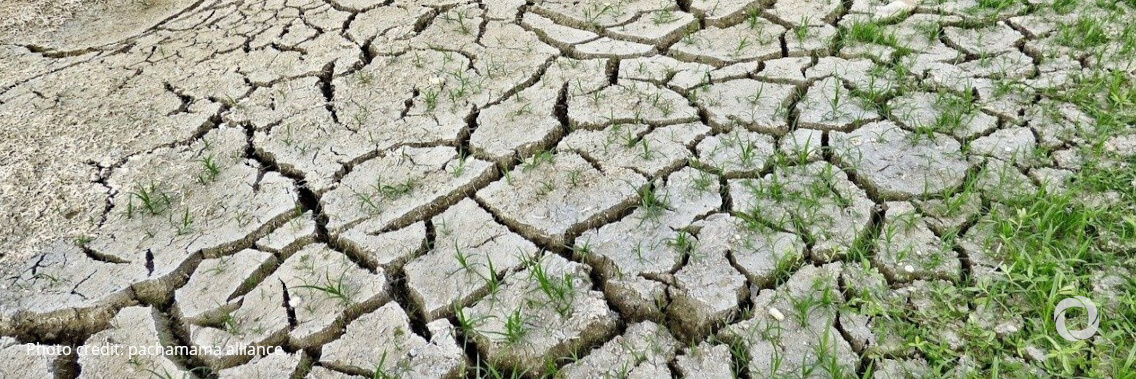 Restoring nature ‘the test of our generation’: UN General Assembly President Restoring nature ‘the test of our generation’: UN General Assembly President