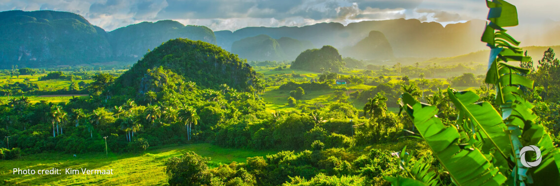 GEF Council endorses $281 million for urgent environmental action GEF Council endorses $281 million for urgent environmental action