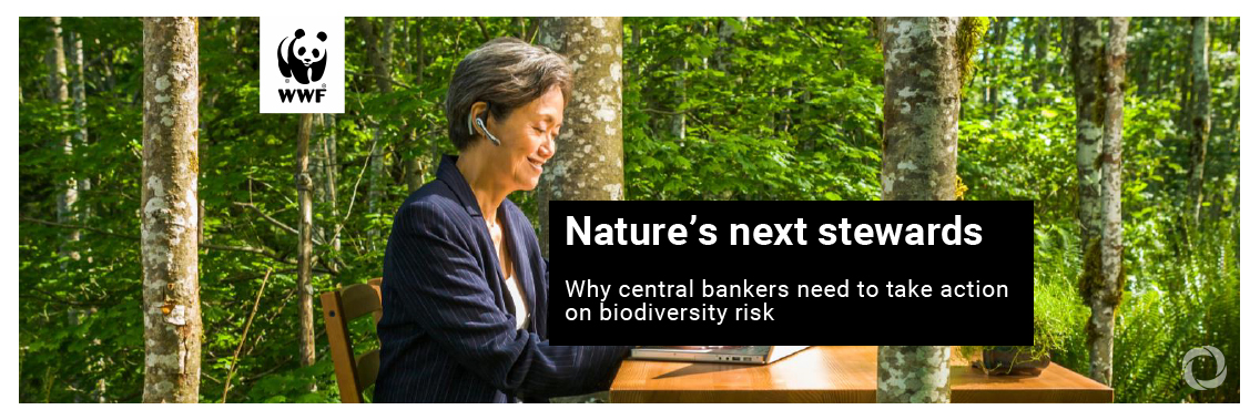 Central banks and financial supervisors urgently need to act on nature-related risk, warns new WWF report Central banks and financial supervisors urgently need to act on nature-related risk, warns new WWF report
