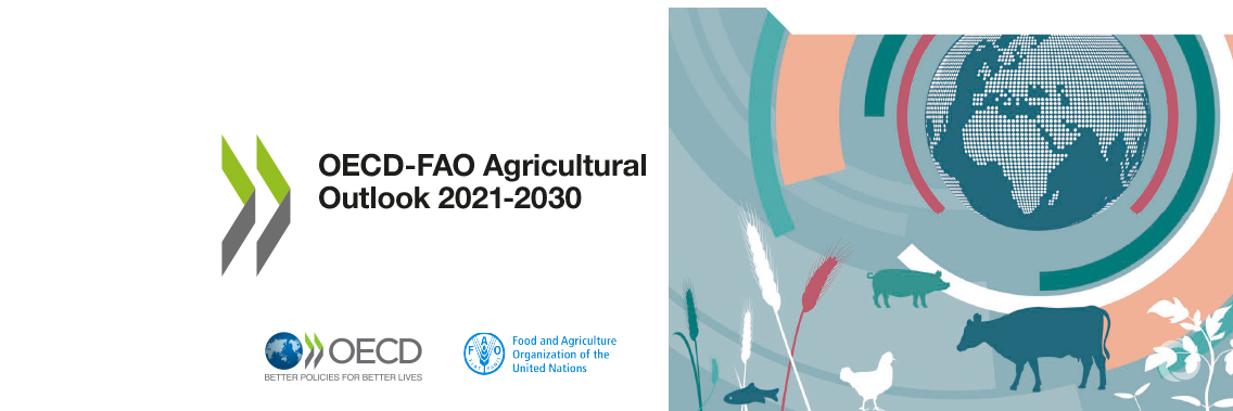 OECD-FAO Agricultural Outlook presents production, consumption, trade and price trends for the coming decade OECD-FAO Agricultural Outlook presents production, consumption, trade and price trends for the coming decade