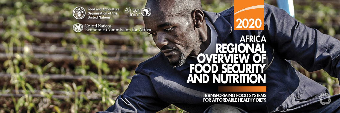New report finds fruit, vegetables, protein remain out of reach for most Africans