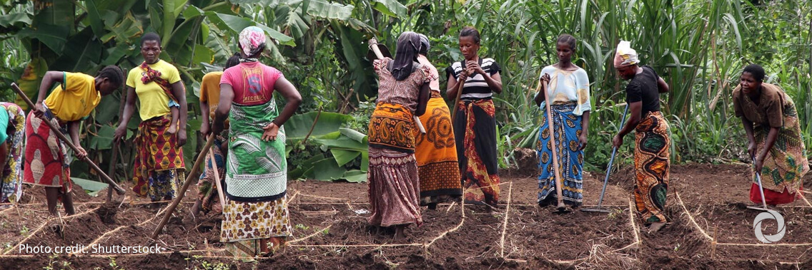 Tanzanian small-scale farmers receive support to improve food security in the face of the COVID-19 pandemic Tanzanian small-scale farmers receive support to improve food security in the face of the COVID-19 pandemic