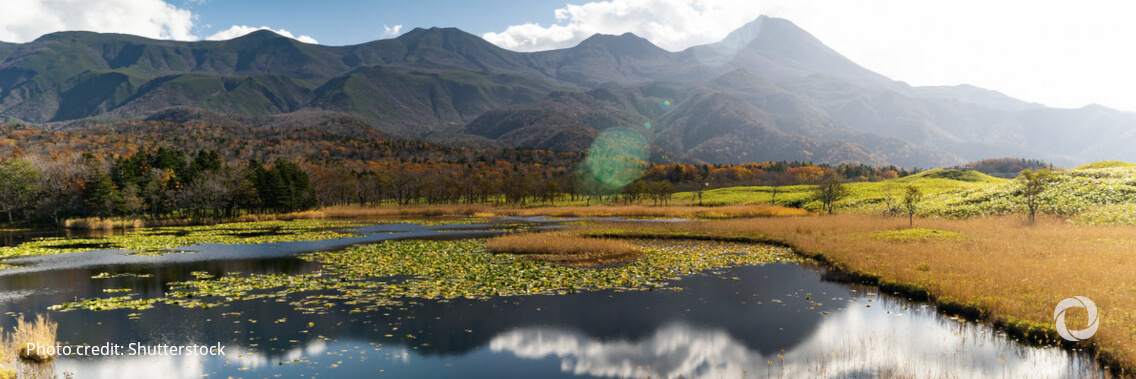 UN biodiversity agreement falls short, says WWF UN biodiversity agreement falls short, says WWF