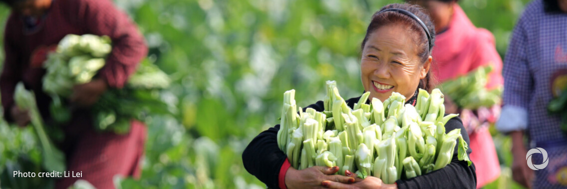 IFAD and China launch project to revitalize the rural economy in Hunan