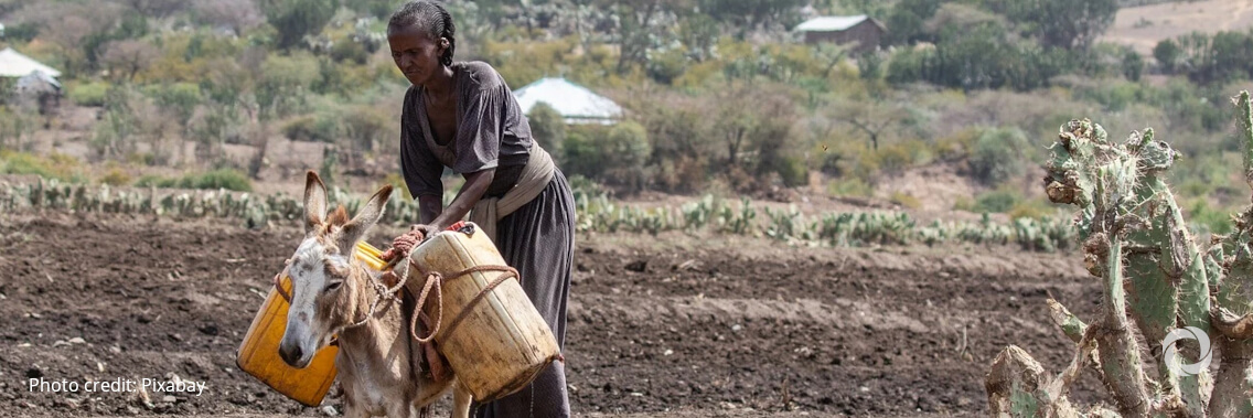 Window for planting in northern Ethiopia narrows as hunger catastrophe looms