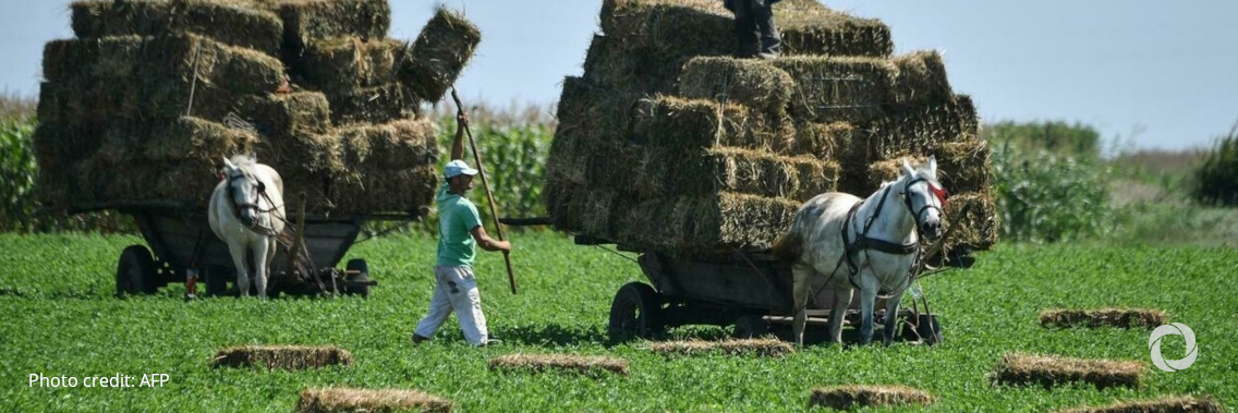 Agricover Credit NFI Romania - EIB make €7.5 million of new funds available to agricultural SMEs in Romania Agricover Credit NFI Romania - EIB make €7.5 million of new funds available to agricultural SMEs in Romania