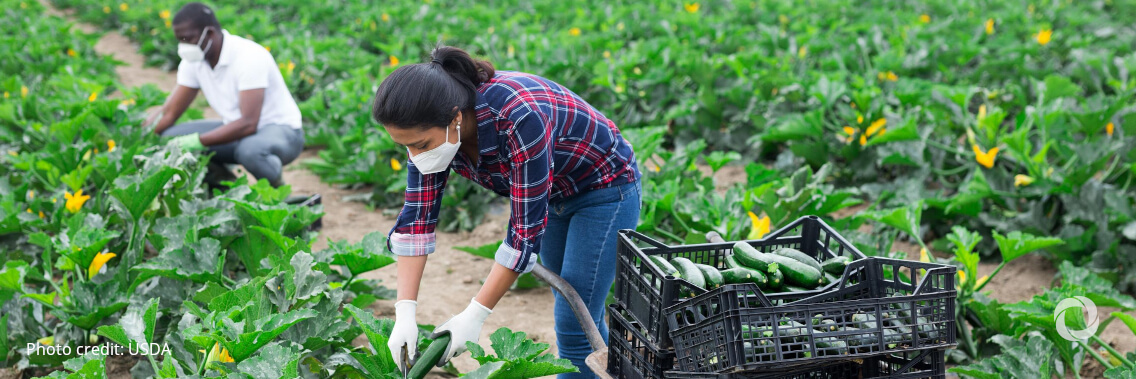 IFAD and partners to announce upcoming coalition to support public development banks’ financing of sustainable and equitable food systems IFAD and partners to announce upcoming coalition to support public development banks’ financing of sustainable and equitable food systems