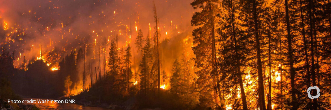 EU deploys immediate assistance to help Cyprus contain devastating forest fires EU deploys immediate assistance to help Cyprus contain devastating forest fires
