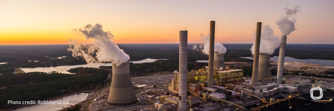 European Green Deal: Commission proposes new strategy to protect and restore EU forests European Green Deal: Commission proposes new strategy to protect and restore EU forests