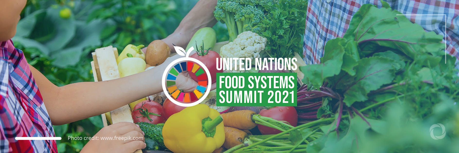 UN Food Systems Summit needs world experts for just and sustainable food systems