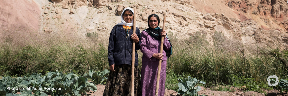 Drought threatens the livelihoods of 7 million farmers in Afghanistan