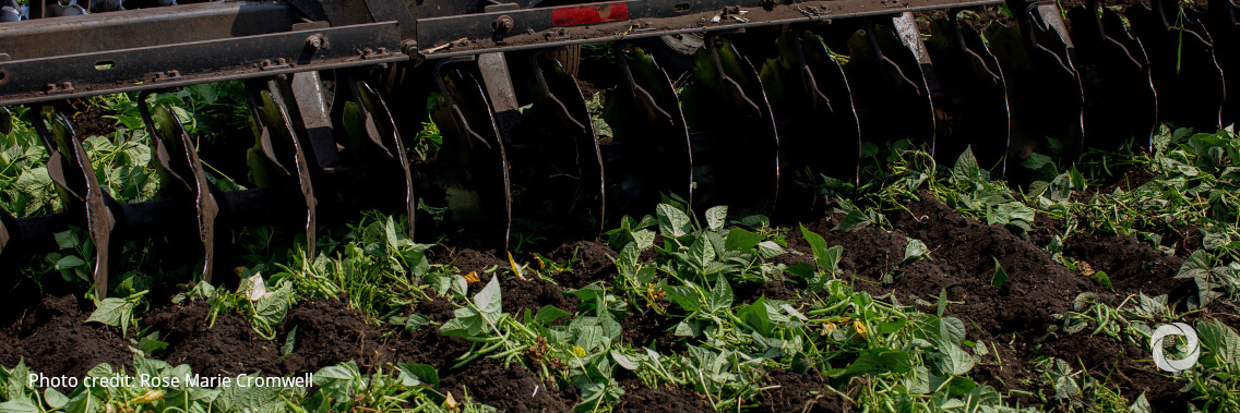 The EDB provides RUB 3.3 billion to promote food security in Kazakhstan