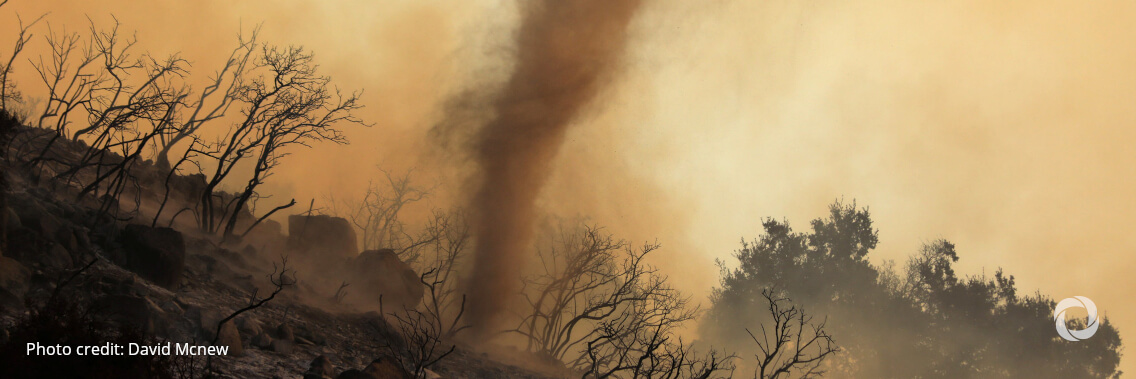 How do EU and US firms perceive and invest in climate change? How do EU and US firms perceive and invest in climate change?