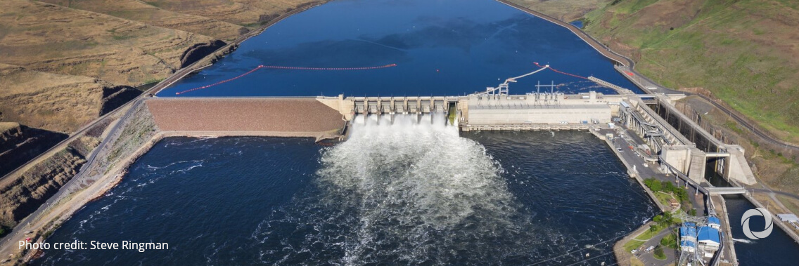 Over 160,000 miles of rivers are at risk of losing their free-flowing status due to dams Over 160,000 miles of rivers are at risk of losing their free-flowing status due to dams
