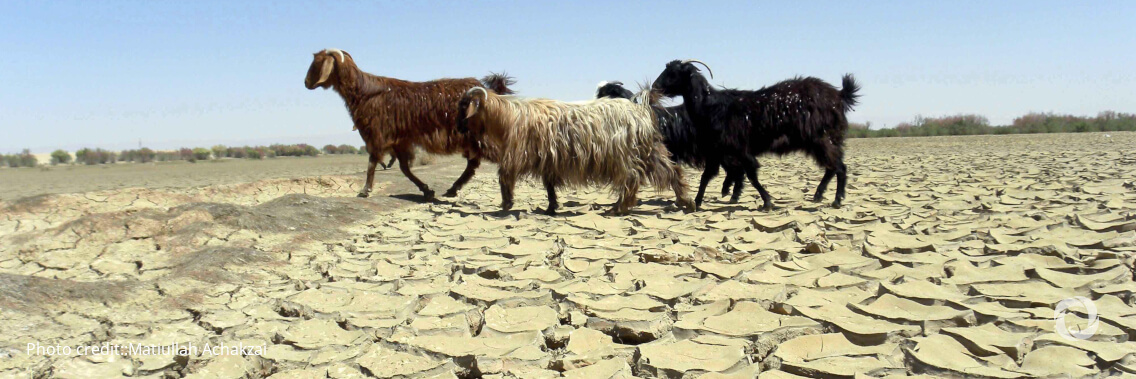 Afghanistan: Over 80% of country in serious drought