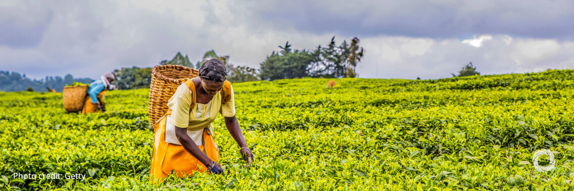 IDB backs $41 million program to help farmers, boost food security in Panama IDB backs $41 million program to help farmers, boost food security in Panama