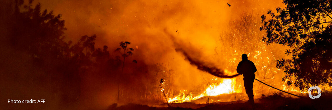 Forest fires: EU helps Italy, Greece, Albania and North Macedonia to fight devastating fires Forest fires: EU helps Italy, Greece, Albania and North Macedonia to fight devastating fires